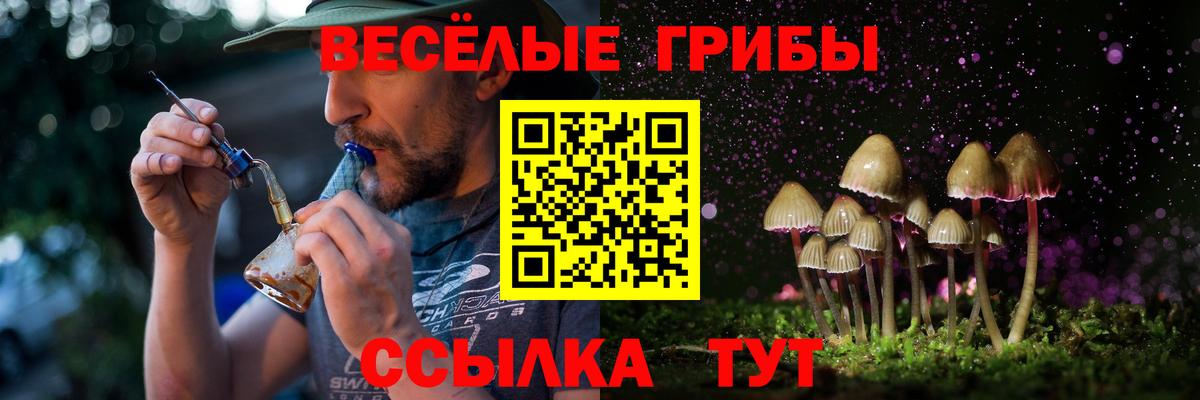 Галлюциногенные грибы мицелий  Вход с VPN  Соль-Илецк 